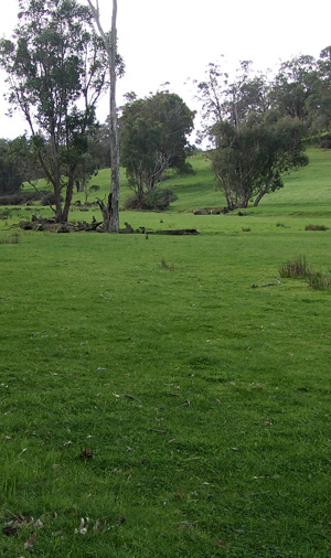 The beautiful surrounds of the farm